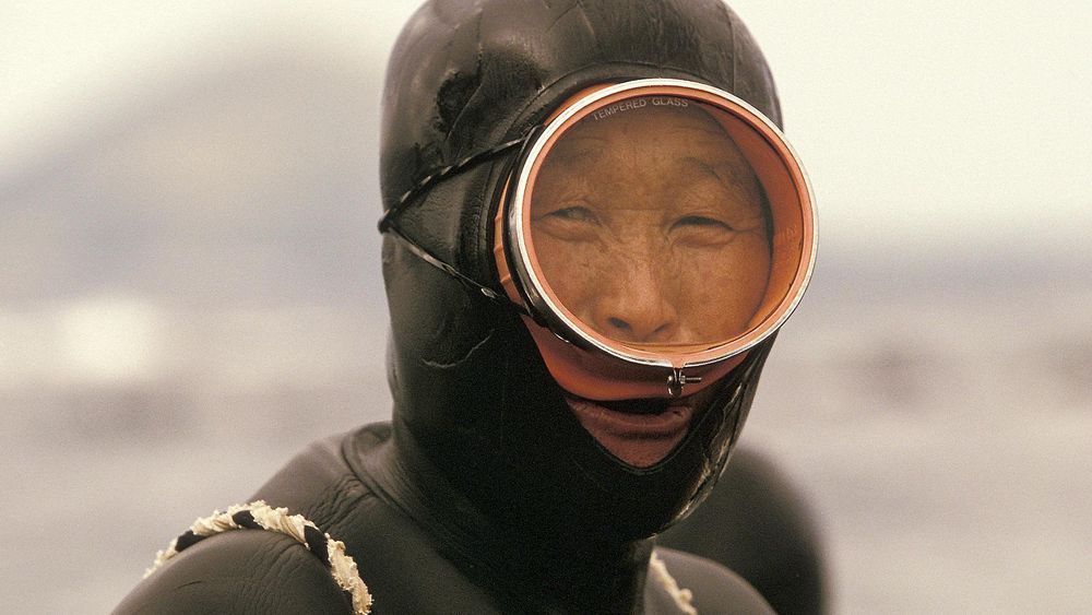 https://www.bbc.com/mundo/articles/c20nk0k63ndo