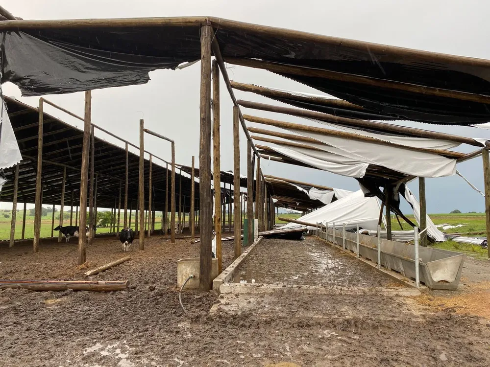Destrozos en el tambo de Andrés Mondon.