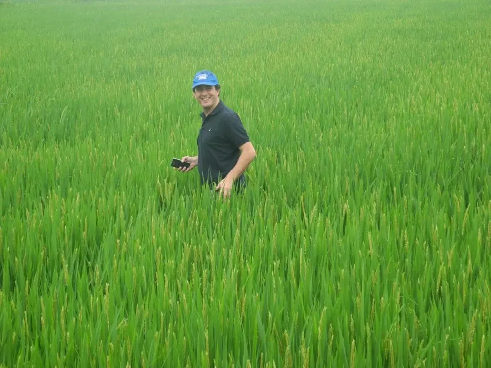 Raúl Uraga en un cultivo de arroz en Longyou, China