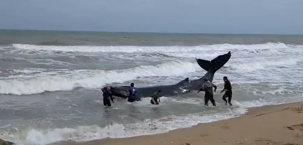 Los equipos de rescate trabajarán hasta este lunes como máximo