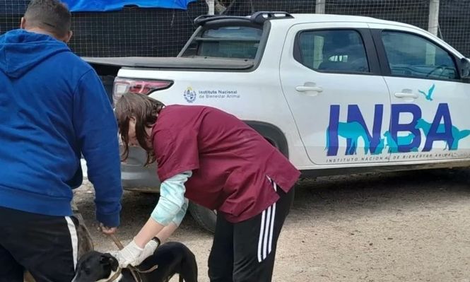 INBA: cuestionamientos de las protectoras a los cambios solicitados por el Poder Ejecutivo.
