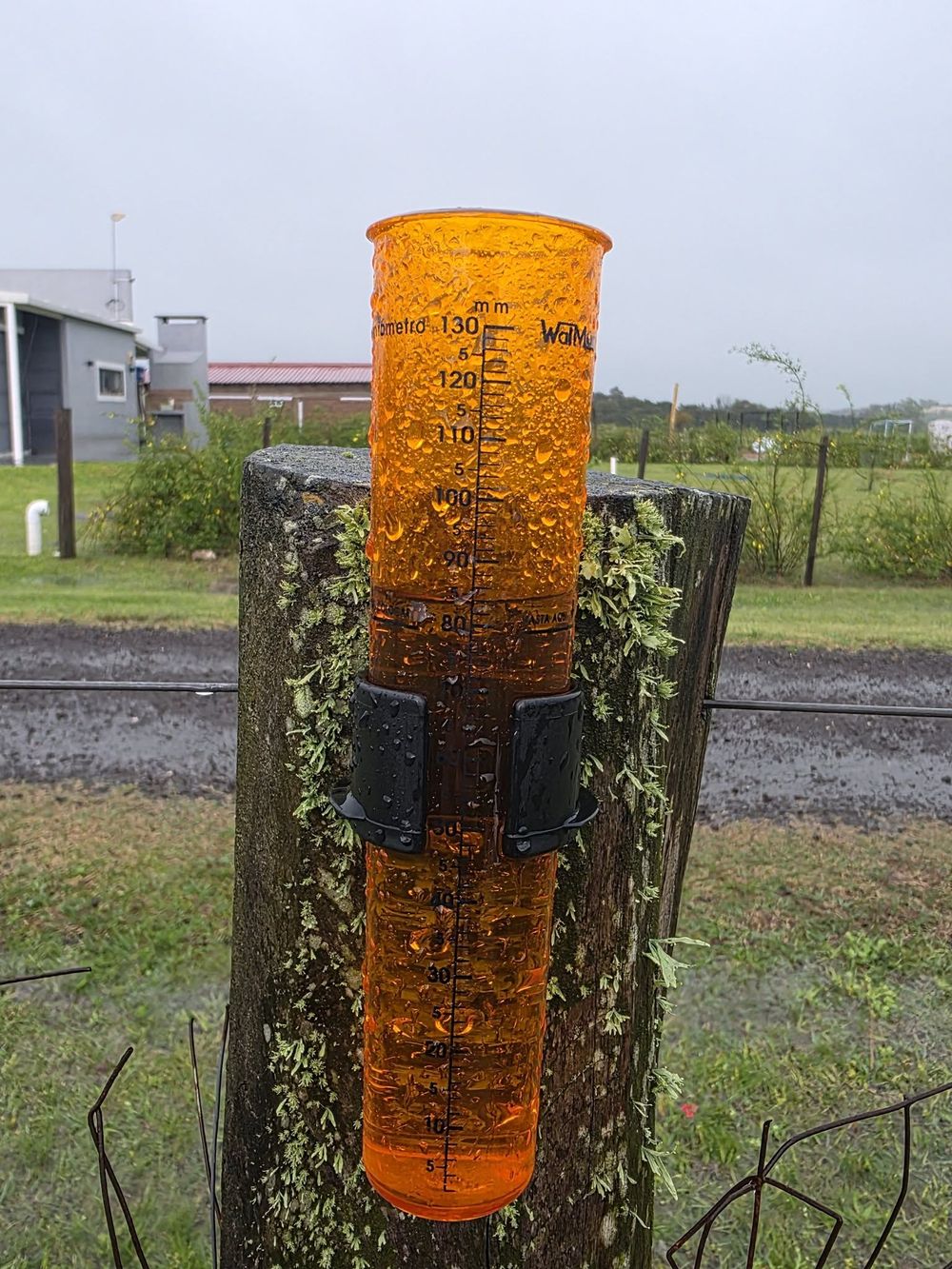 Caída de lluvia en milímetros en el departamento de Paysandú
