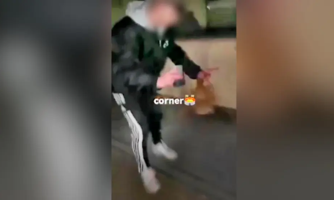 Denuncian a decenas de  jóvenes por usar gallinas como balones de fútbol