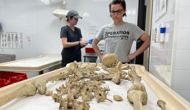 La antropóloga forense Kate Spradley en el laboratorio de Operation Identification en Freeman Ranch, San Marcos, Texas, el 24 de abril de 2024.
