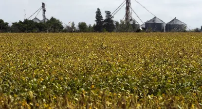 El Observador | 1588873541452.webp