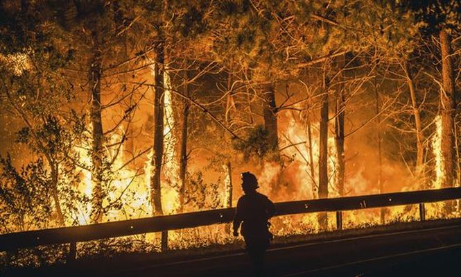 Incendios forestales en España