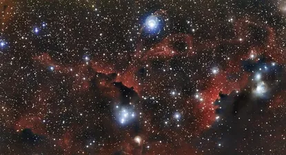Una imagen captada por el telescopio MPG/ESO que muestra las alas de una gaviota cósmica