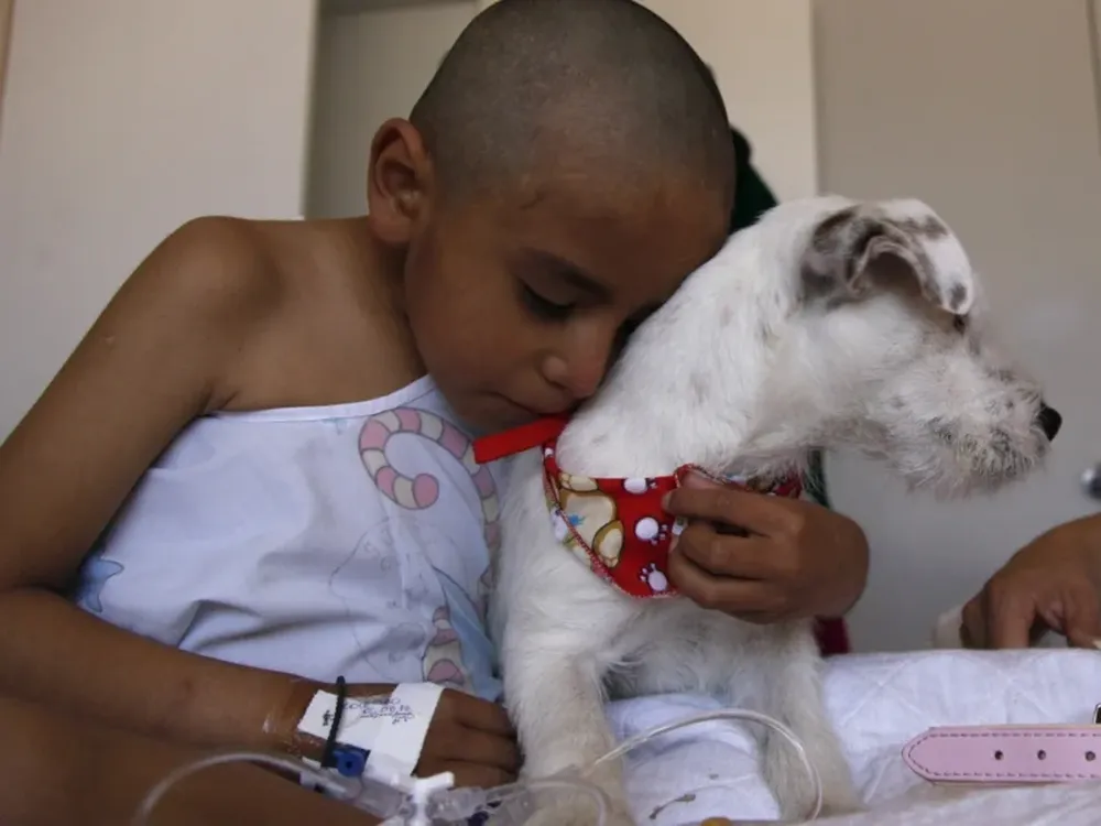 Edison, de 8 años, abraza a Juci, de la raza Russell Terrier