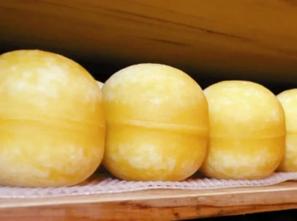 El queso es el segundo producto de exportación