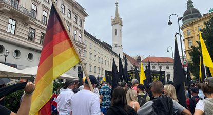 Grupos de neonazis en la manifestación de extrema derecha en Viena con consignas anti inmigración