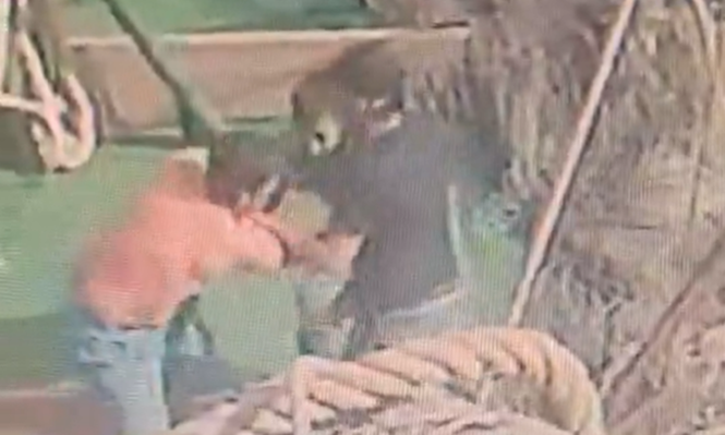 Captura de pantalla del video que compartió la cámara pesquera