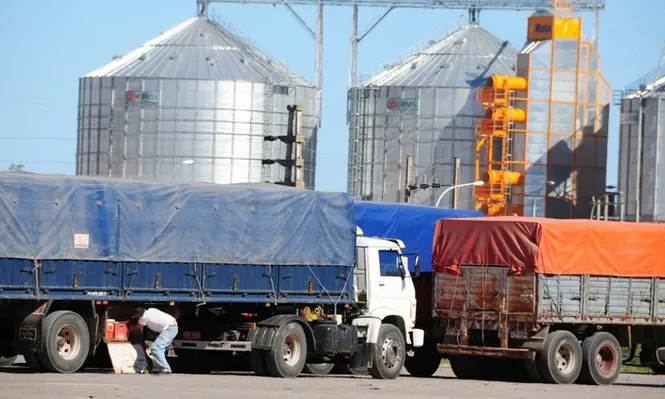 Exportaciones crecieron 10,4% en el semestre pese a baja de Argentina y Europa