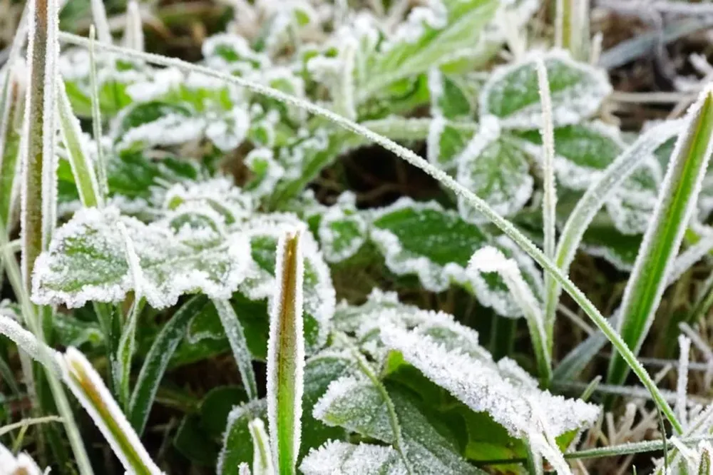 Meteorólogo pronosticó un mes de junio muy frío