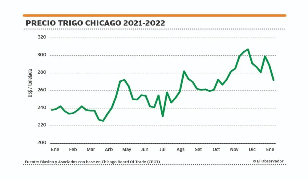 Precio del trigo.