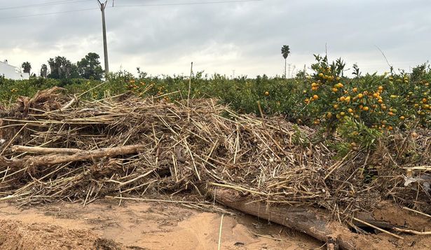 Limpieza de un cauce de la CHJ.