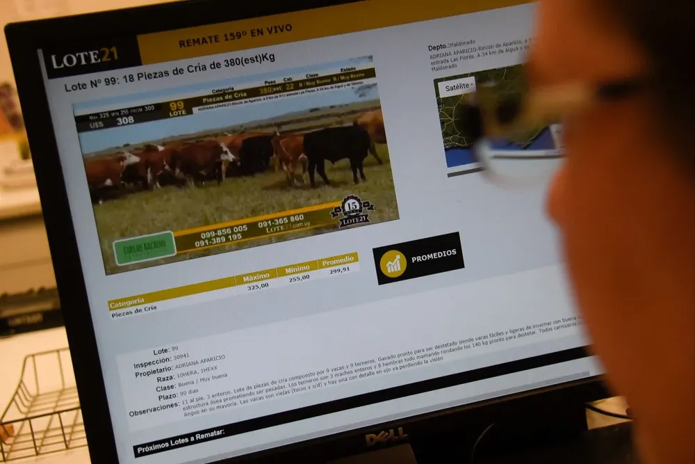 Lote 21 inicó su ciclo de remates ganaderos de 2023.
