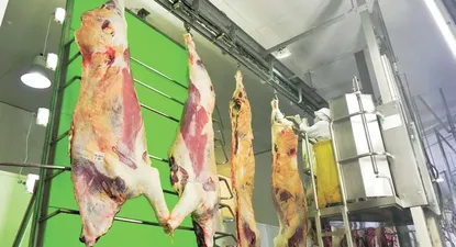 Caída de las exportaciones  se profundizó en setiembre