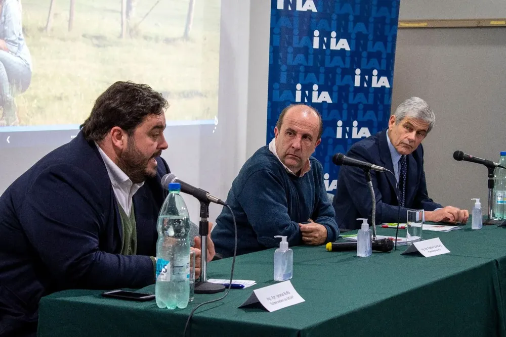 Juan Ignacio Buffa, Esteban Carriquiry y José Bonica .