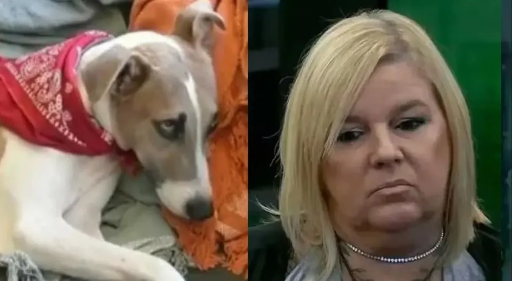 Virginia de Gran Hermano quiere a Arturo fuera de la casa: Lo tienen que volar