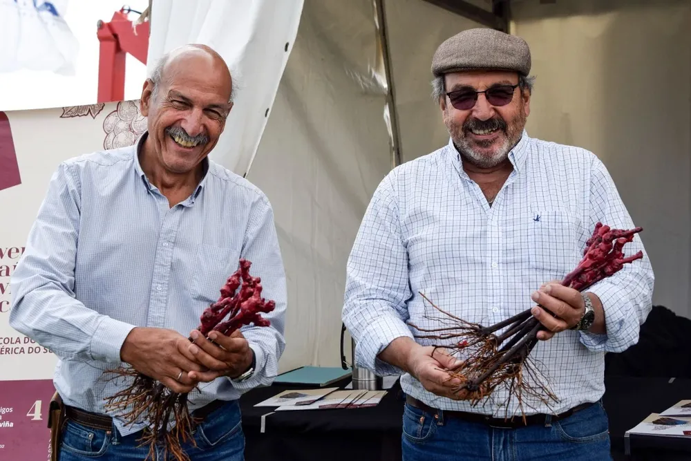 Washington y Pedro González.