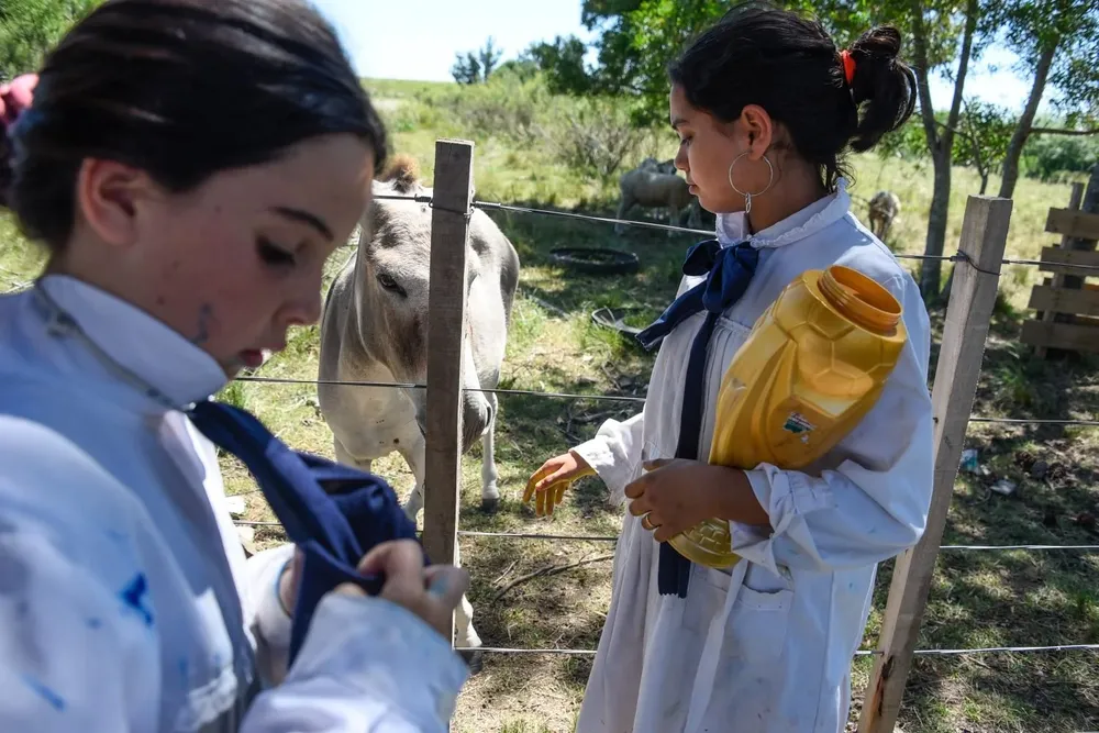 Se exigirá el uso de alambrados.