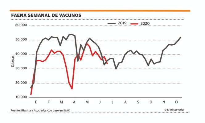 Con muy poca oferta, el mercado ganadero mantiene la firmeza en los valores