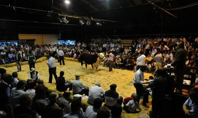 Además de las ventas de los reproductores que concursan habrá remates especiales