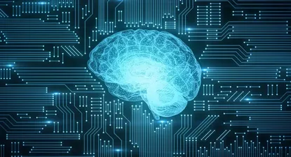 Desde los inicios de la vida tenemos la constante oportunidad de influir en nuestro propio cerebro.