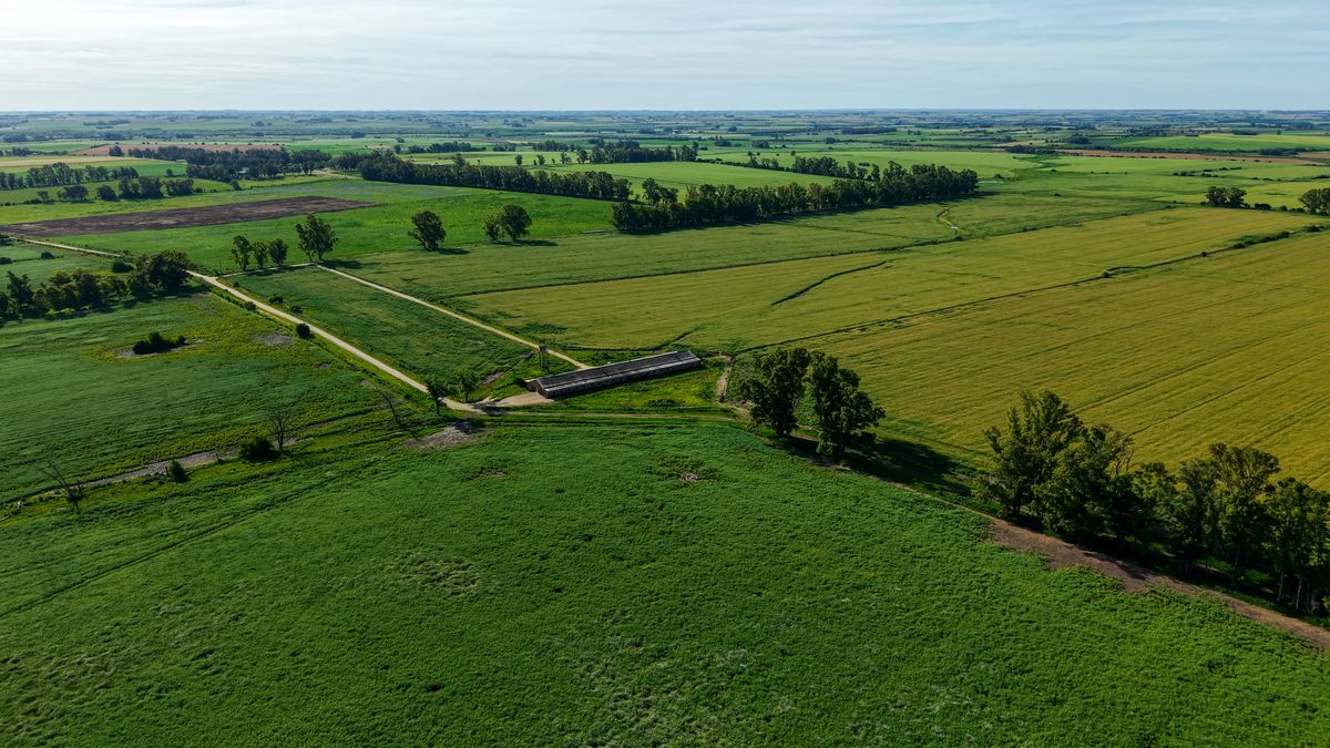 Tierras de Don Alfredo, sobre dos rutas y coneat 181, el campo “casi único” que vende Rodeos Negocios Rurales