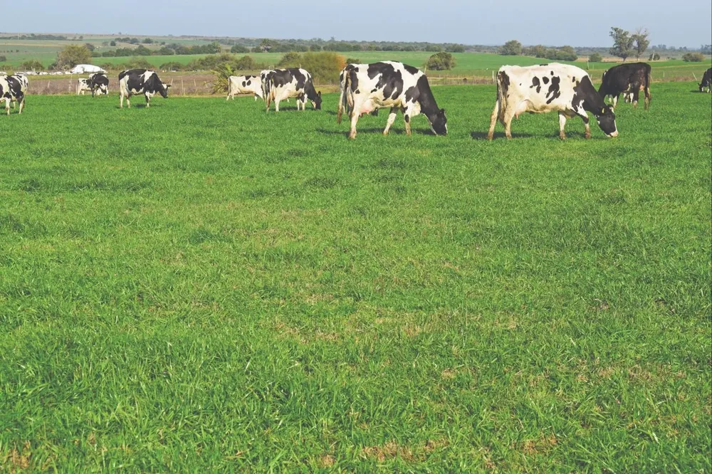 La iniciativa la impulsa la Sociedad de Productores de Leche de Florida.