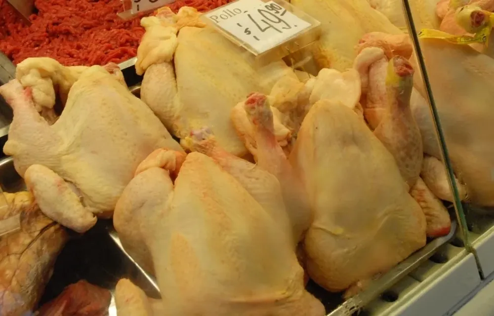 DIEA reveló los resultados de la última encuesta avícola