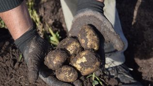 Suelo, un recurso imprescinbile para la generación de muchos alimentos.