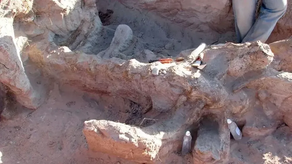 Encuentran dinosaurio en Neuquén