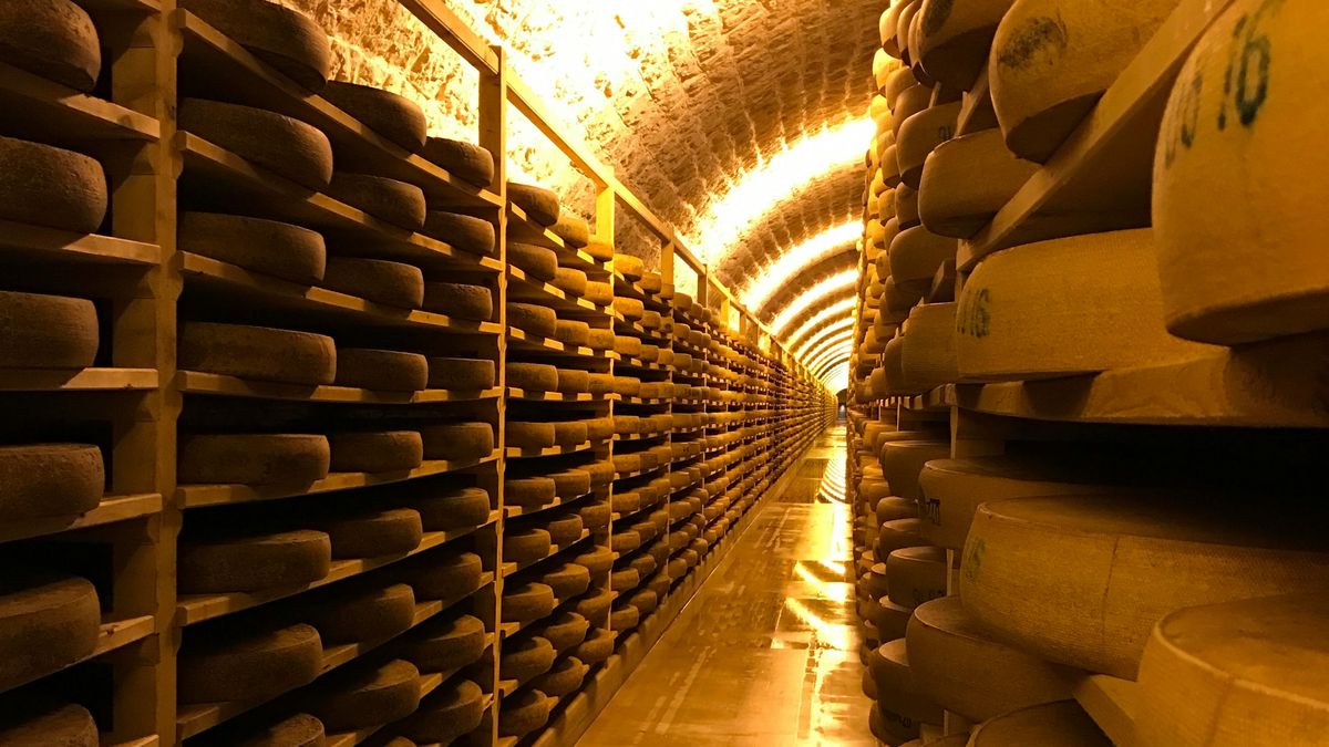 Ingresos por exportaciones de lácteos al borde de los US$ 800 millones, ¿habrá nuevo récord?