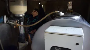 El volumen productivo en mayo de 2024 fue menor al del mismo mes del año pasado.