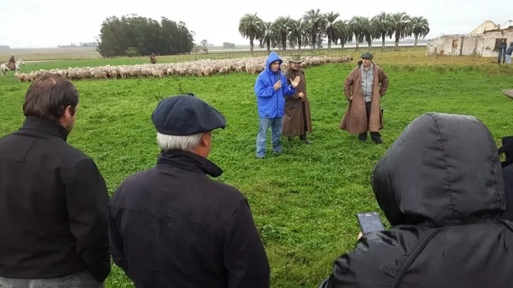 En Doña Rosario producen semillas forrajeras y corderos