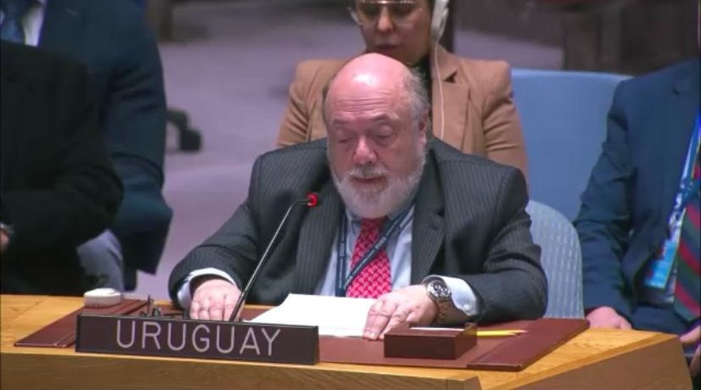 Representante de Uruguay en la ONU