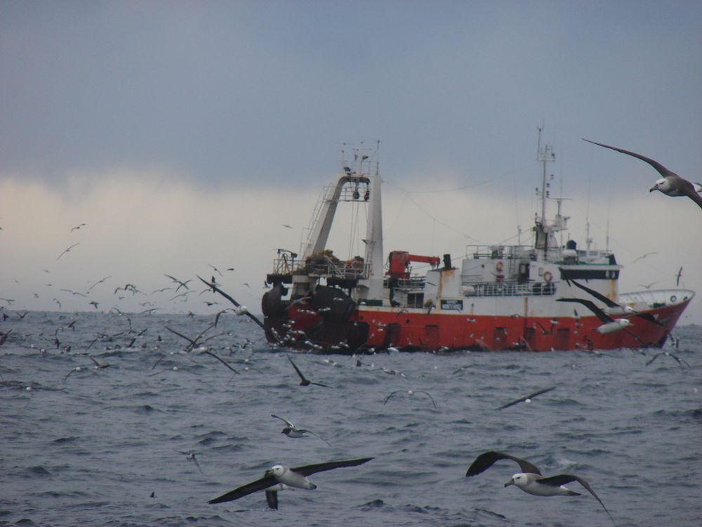 Buque arrastero uruguayo.JPG
