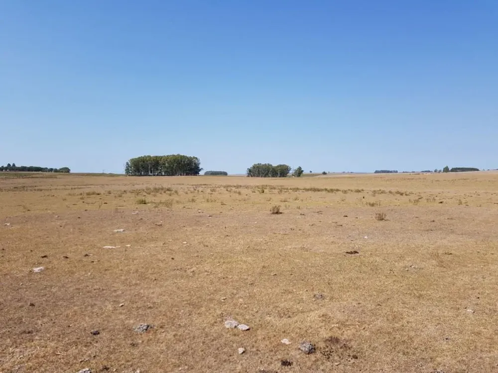 Paraje La Coronilla en Rivera. Foto: Guillermo Jauregui
