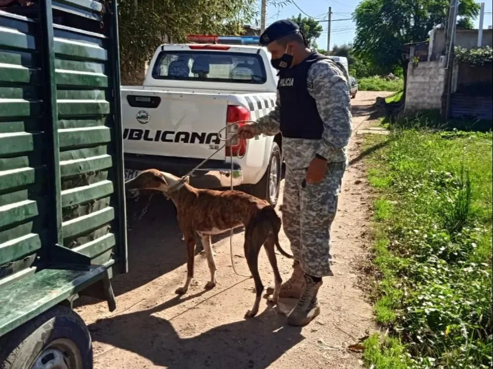 Procedimiento conjunto del INBA y del Ministerio del Interior.