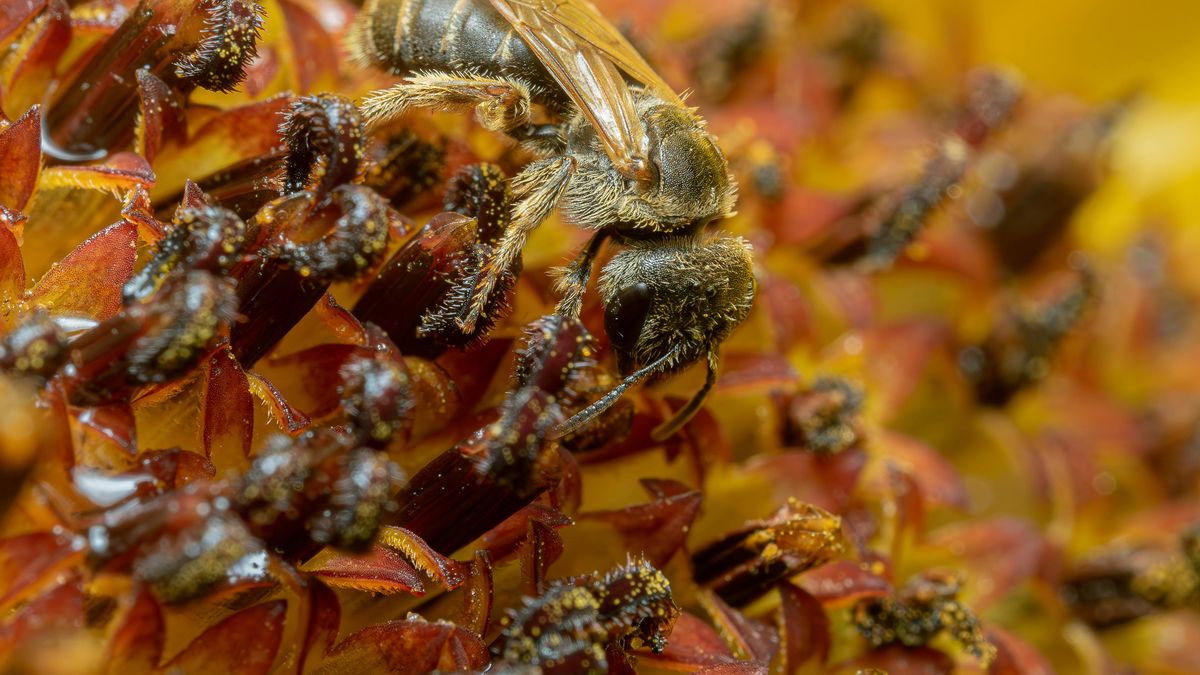 Imagen noticia completa