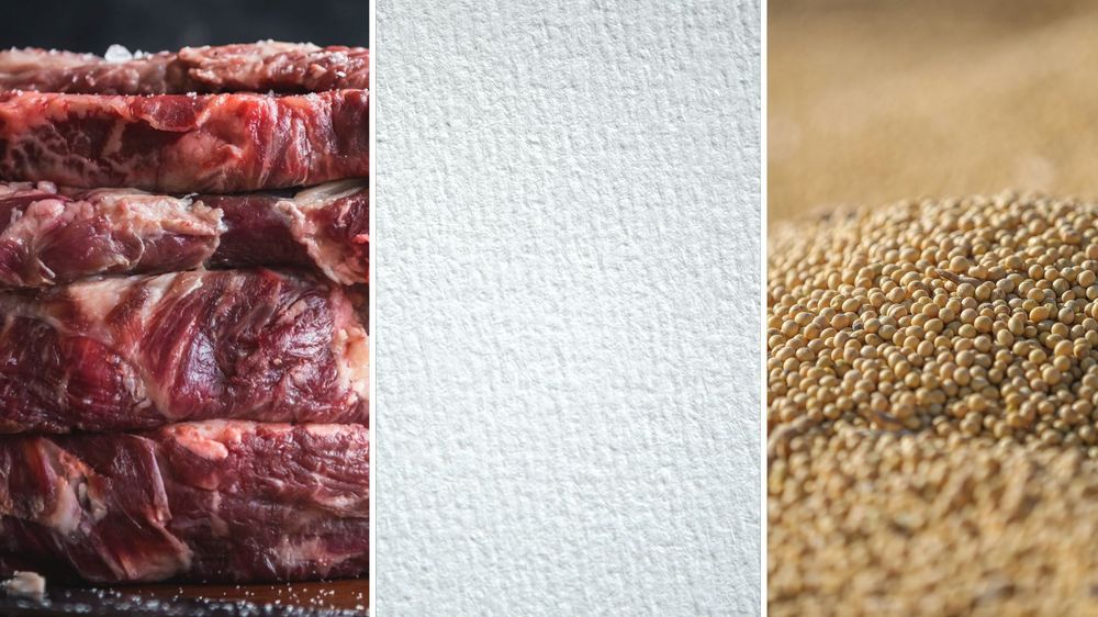 Exportación de bienes desde Uruguay: nuevos datos sobre el peso mayúsculo de tres rubros.