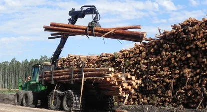 Productores forestales: integrantes de uno de los principales motores de la economía en Uruguay.