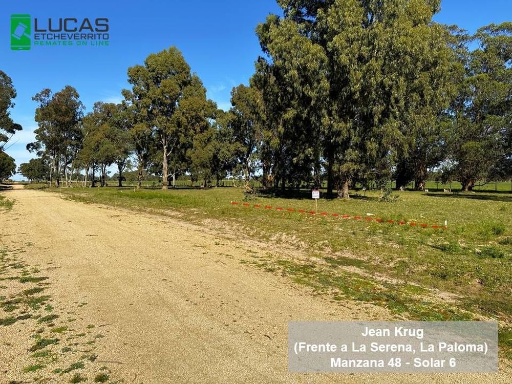 Etcheverrito remata online terrenos en La Paloma.&nbsp;