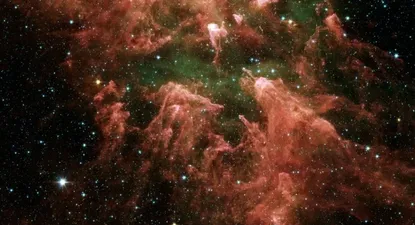 El Observador | 0000818156.webp