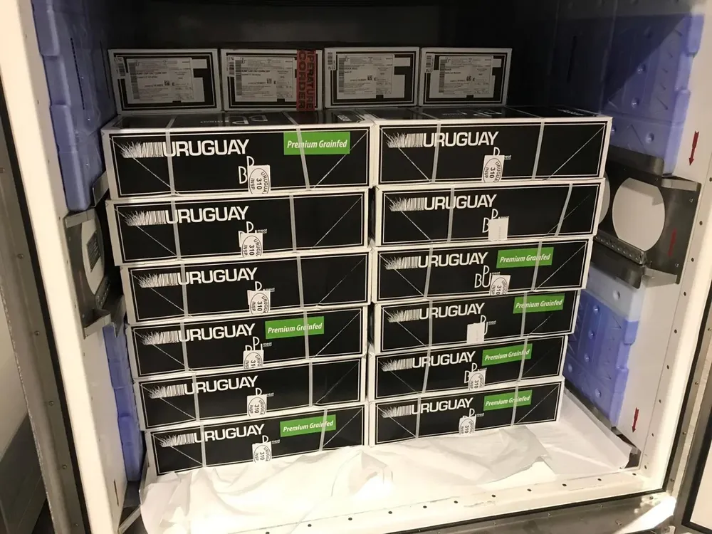 Los costos en los fletes de exportación se multiplicaron por cuatro con respecto a enero de 2021.