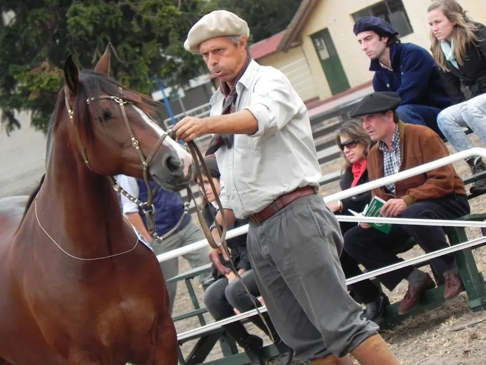 Los Criollos serán grandes protagonistas desde el miércoles 7