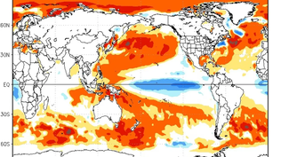 Metsul advierte que crece la posibilidad de que regrese La Niña en primavera: cómo puede afectar a Uruguay