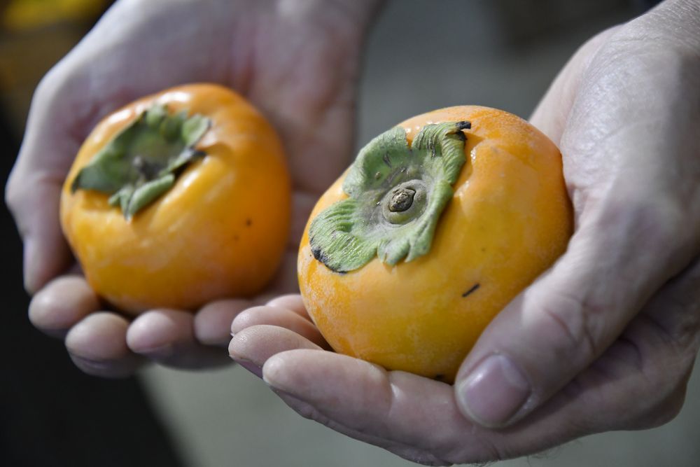 Lista Inteligente: caquí, uno de los nueve rubros considerados.