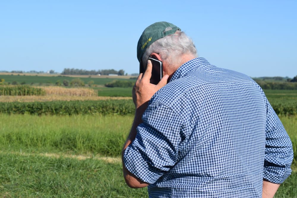 Tierras para uso agropecuario: menos negocios, cayó el área, mejoró el valor por hectárea.